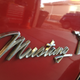 Illustration for article titled A few more Mustang pictures (sorry), and a cute offer from my son